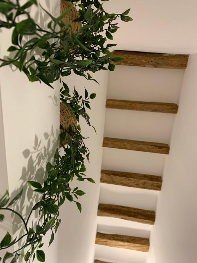 Apartaments Impro Mora d'Ebre Exteriör bild